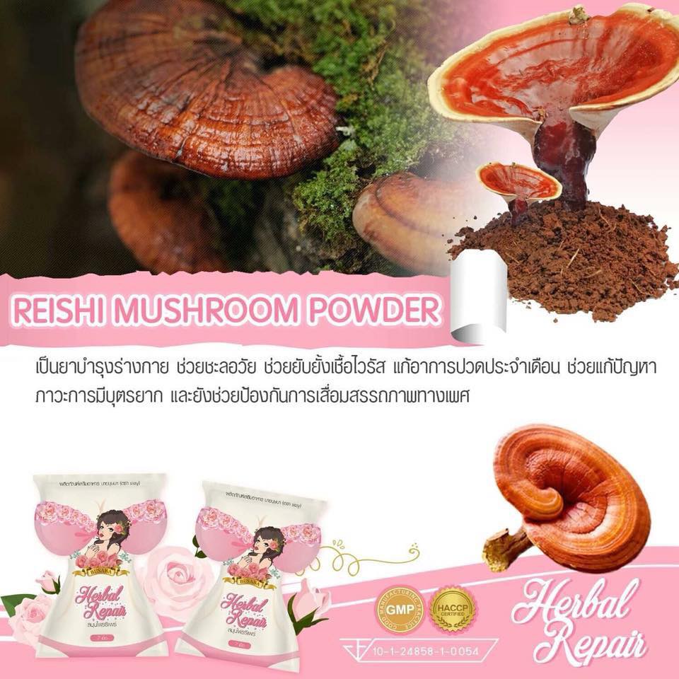 สมุนไพรรีแพร์ Herbal Repair by บุษบา