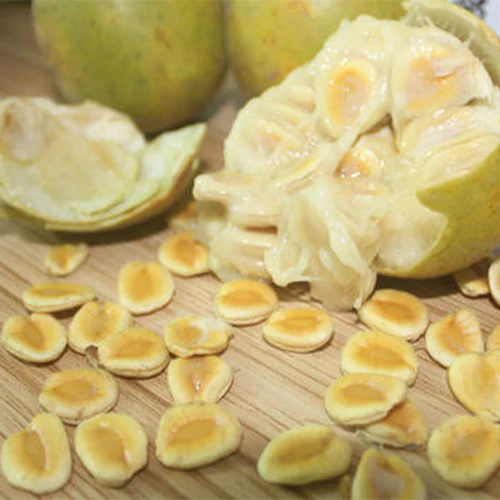 เมล็ดพันธุ์ หล่อฮังก๊วย Monk Fruit (Luo Han Guo) Seed