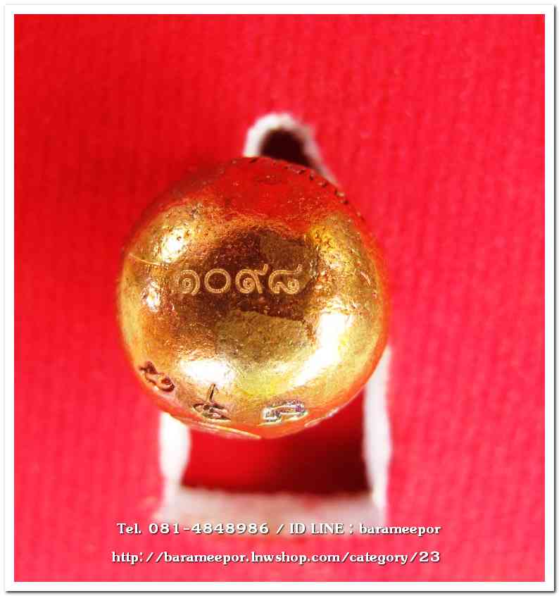 น้ำเต้าไอ้ไข่เรียกทรัพย์ พิธีพุทธาภิเษกสรงน้ำ 63 วัดเจดีย์ เนื้อแดงเพลิง (พิมพ์เล็ก)