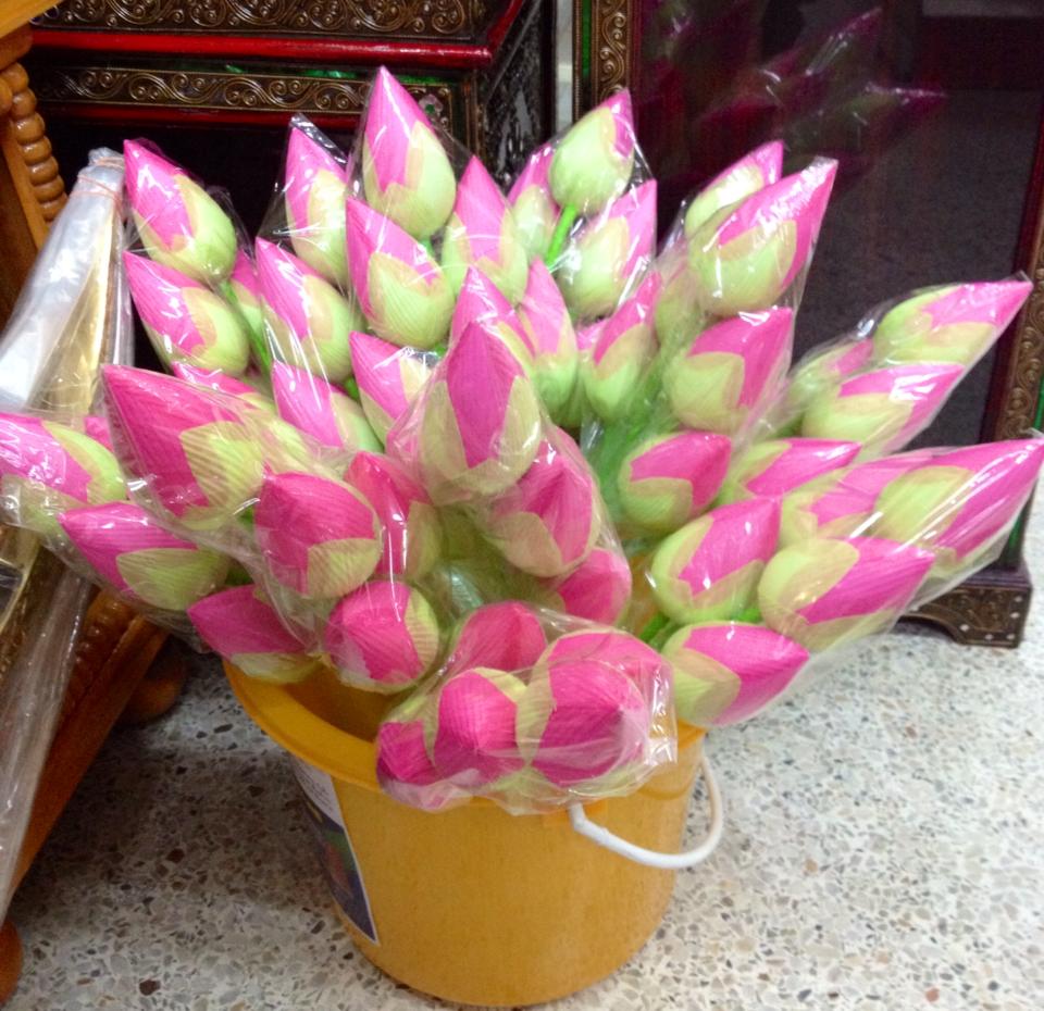 ดอกบัวตูม (ชมพู)