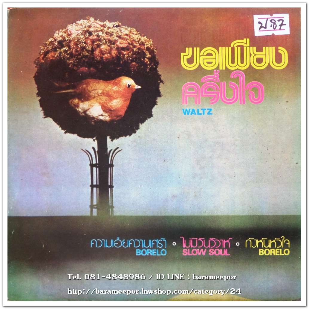 อรชร ขจรวัลย์ ชุด ขอเพียงครึ่งใจ