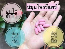 สมุนไพรรีแพร์บุษบา