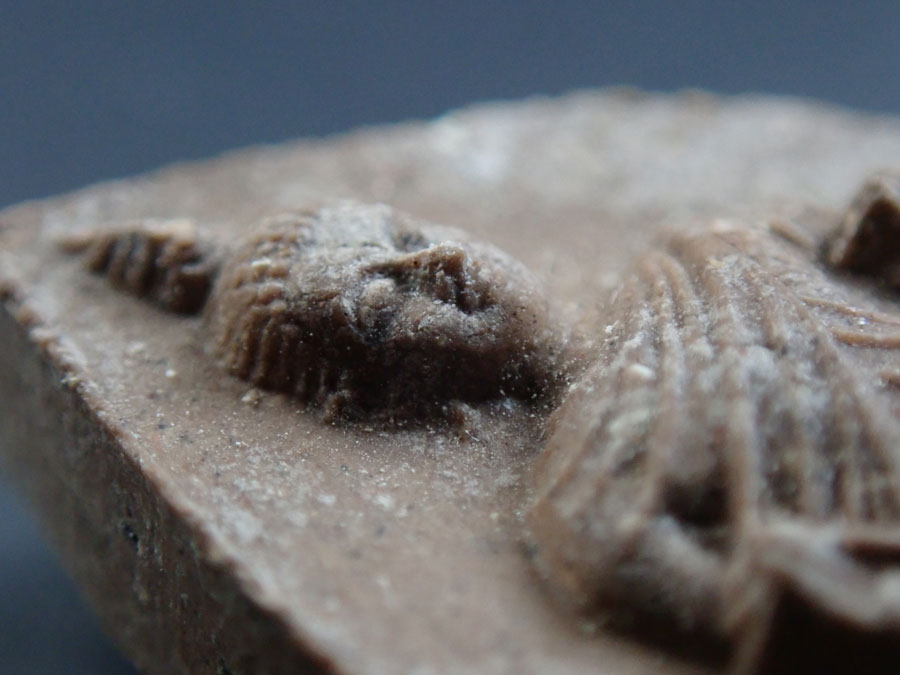 พระพุทธนราวันตบพิธ สร้างเนื่องในโอกาสเฉลิมฉลองพระชนมมายุ 72 พรรษา ปี 2542 ขนาดพระสูง 3.2 ซ.ม. พร้อมกล่องเดิม