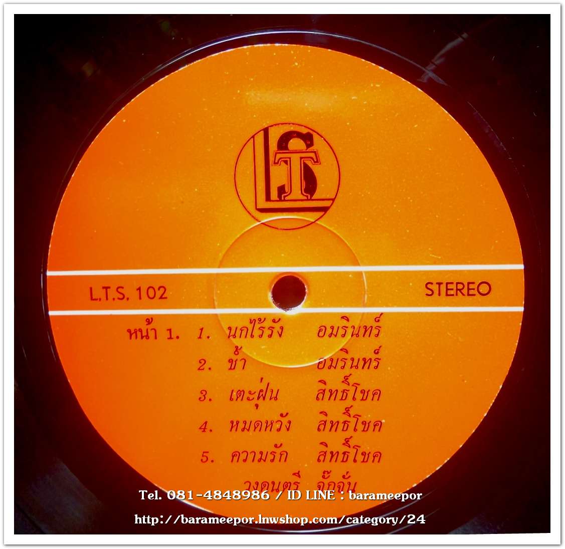 วงจั๊กจั่น ชุด นกไร้รัง