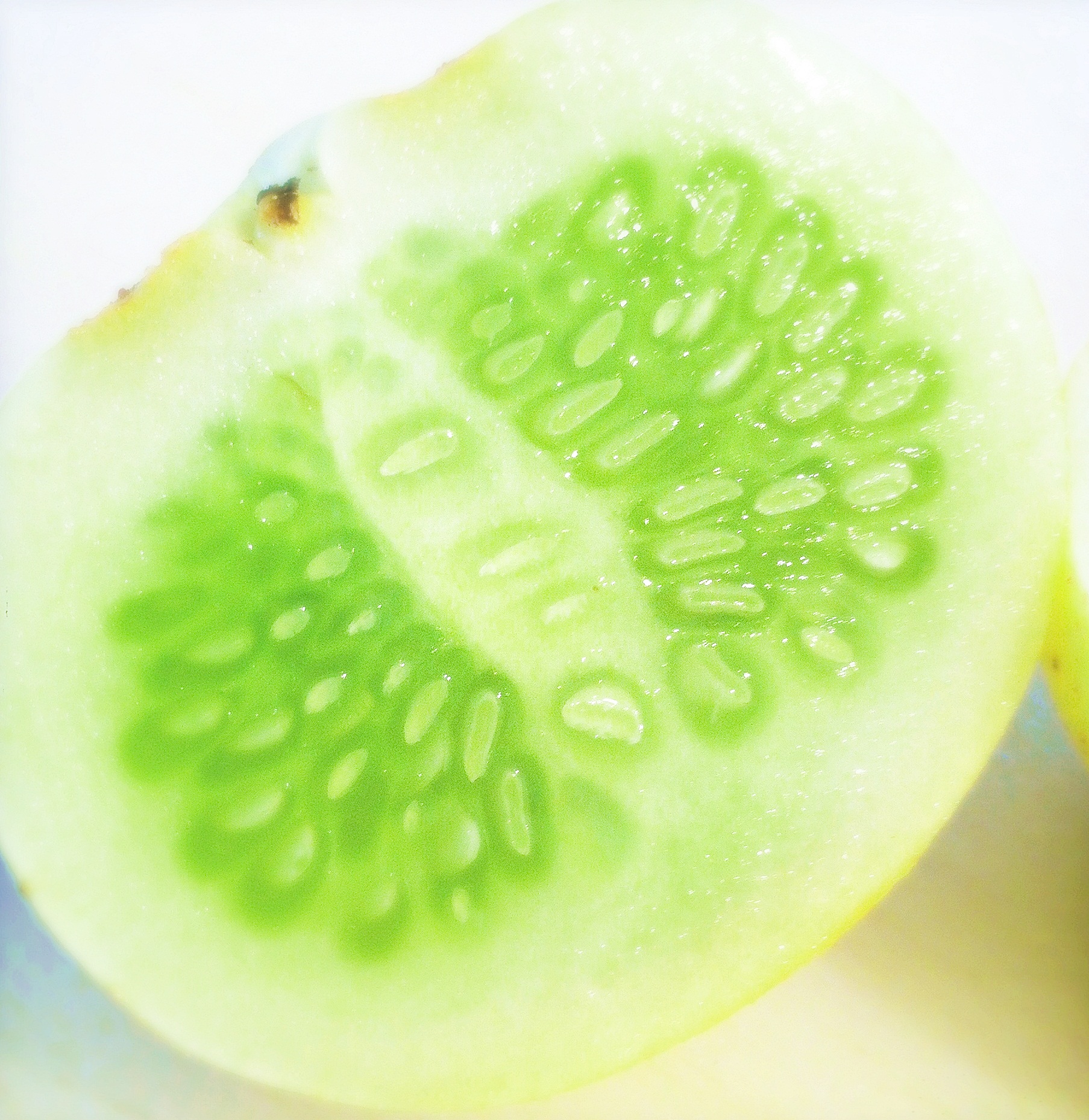 แตงกวาเลม่อน - Lemon Cucumber