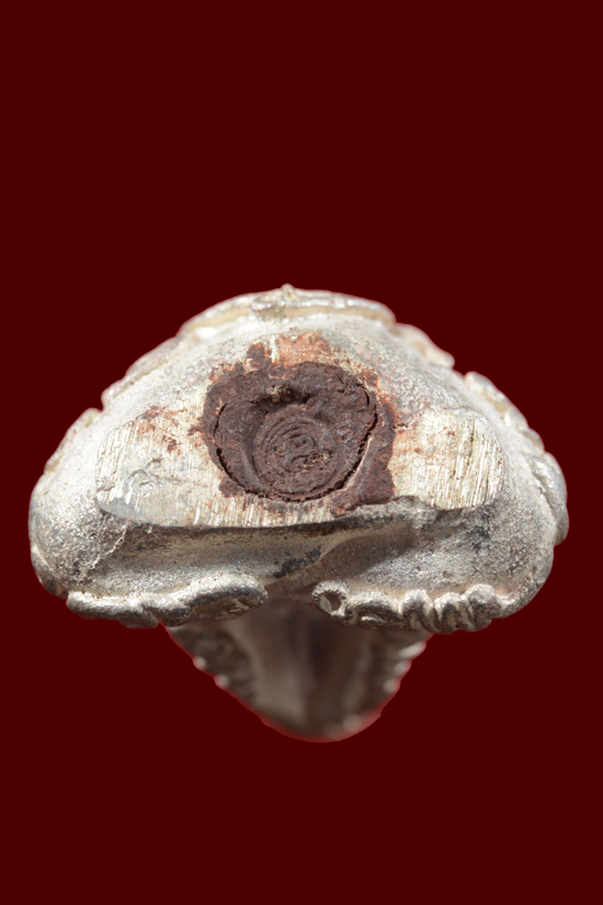 พระปิดตาทักษิณนพฤทธิ์เนื้อเงิน หลวงพ่อดำ วัดใหม่นภาราม (ตากใบ) นราธิวาส