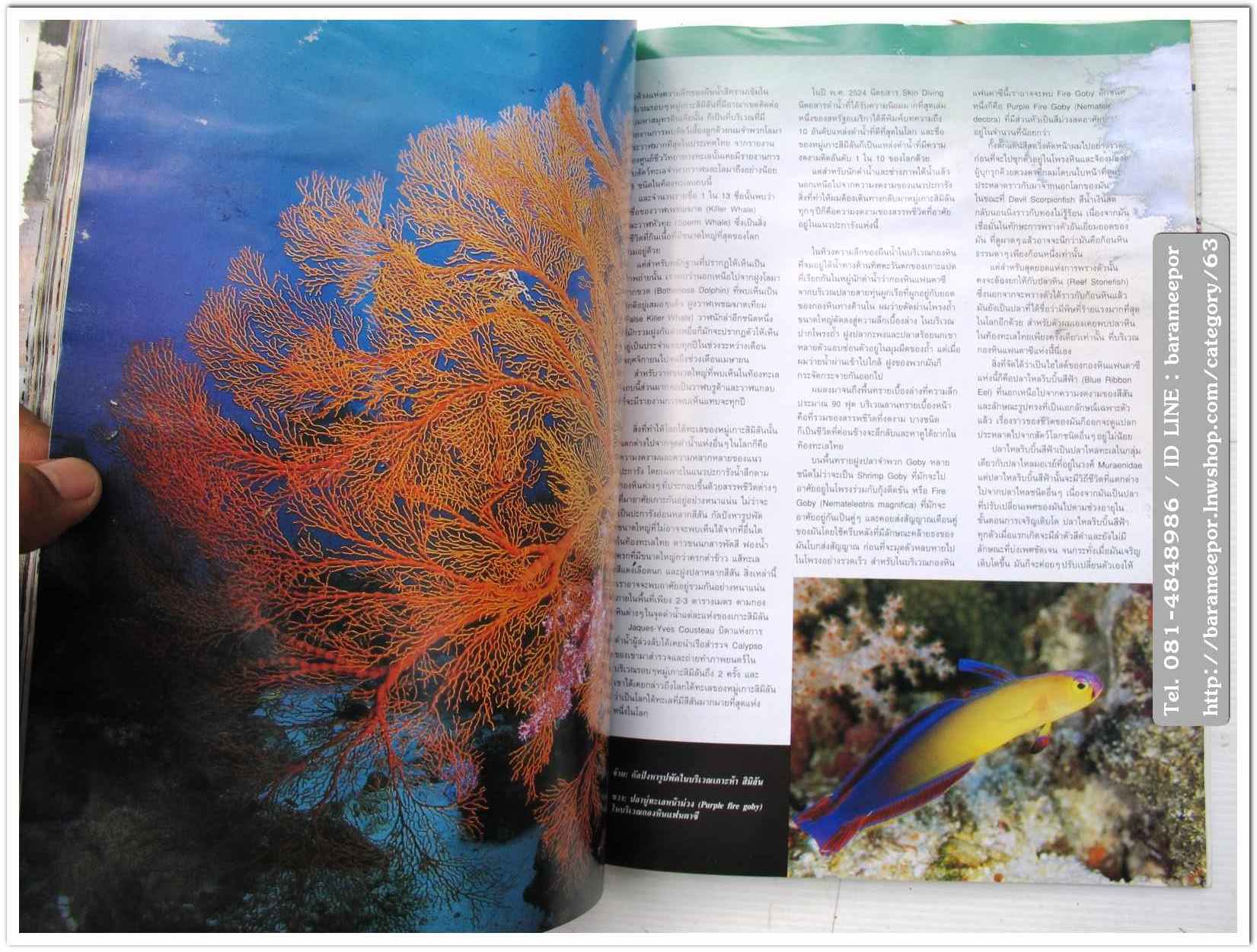 A35 หนังสือรถ NISSAN MAGAZINE