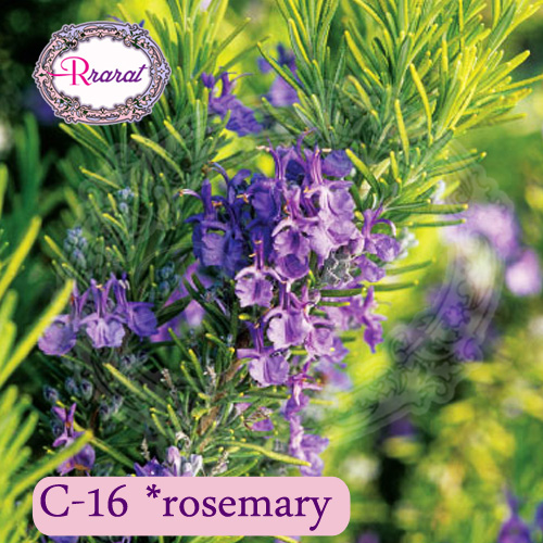 กำยานหอม กลิ่น โรสแม่รี่ ( Rosemary ).. 500g.