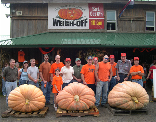 ฟักทองยักษ์ พันธุ์แอตแลนติก - Atlantic Giant Pumpkin