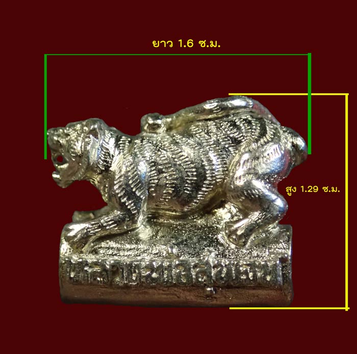 ตะกรุดเสือหมอบ หลวงพ่อสุพจน์ วัดห้วงพัฒนา จ.ตราด ปี 2563 เนื้อทองขาว หมายเลข 446