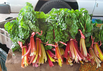 สวิสชาร์ตคละสี - MIX SWISS CHARD