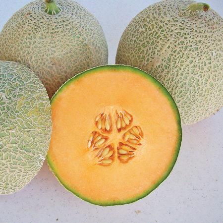 เมล่อน ท็อปมาร์ค - Top Marks Melon