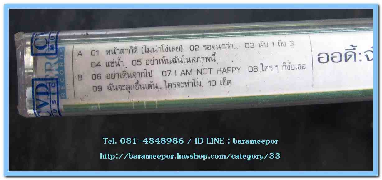 เทปเพลงไทย สภาพซีล หลายศิลปิน AA