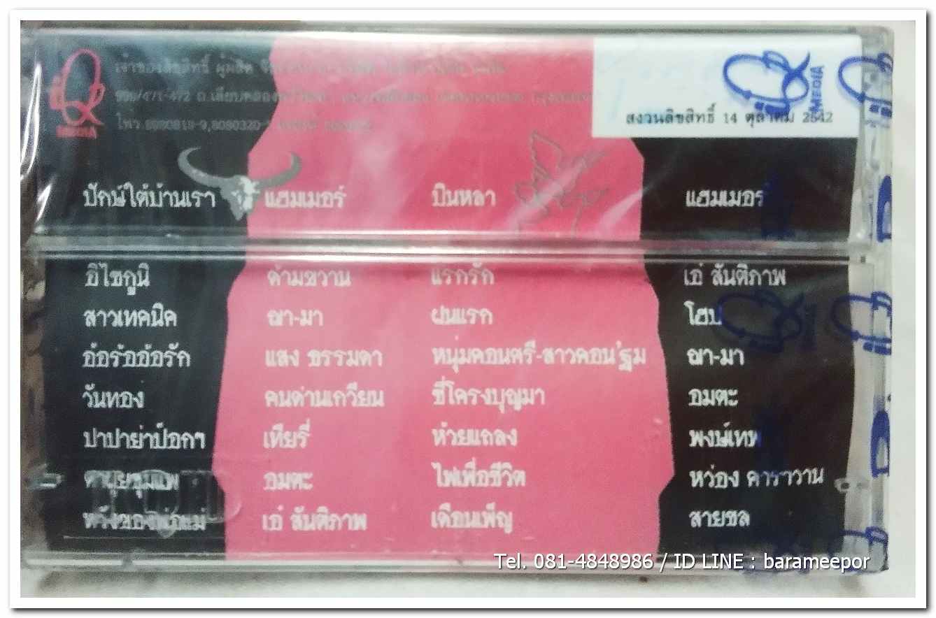 โคตรเพลงเพื่อชีวิต สภาพซีล