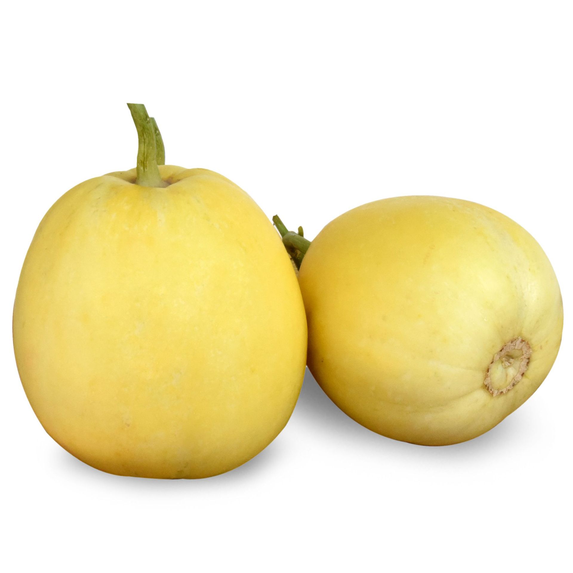 เมล็ดพันธุ์ เมล่อน คริสปี้แพร์เยลโล่ Crispy Pear Yellow F1 Melon Seed