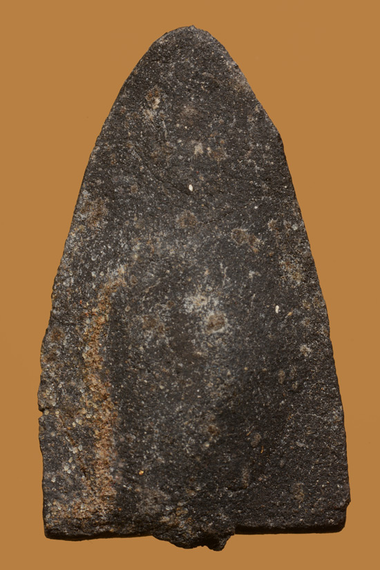 หลวงพ่อทวด พิมพ์ใหญ่ เนื้อว่าน พ่อท่านพล วัดนาประดู่ พ.ศ.2535