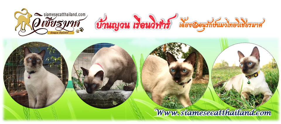 เรือนวิฬาร์