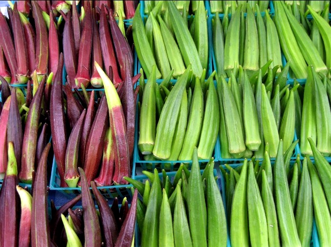 (Whole 1 LB) เมล็ดพันธุ์ กระเจี๊ยบมอญเขียว - Crimson Spinless Okra Seed