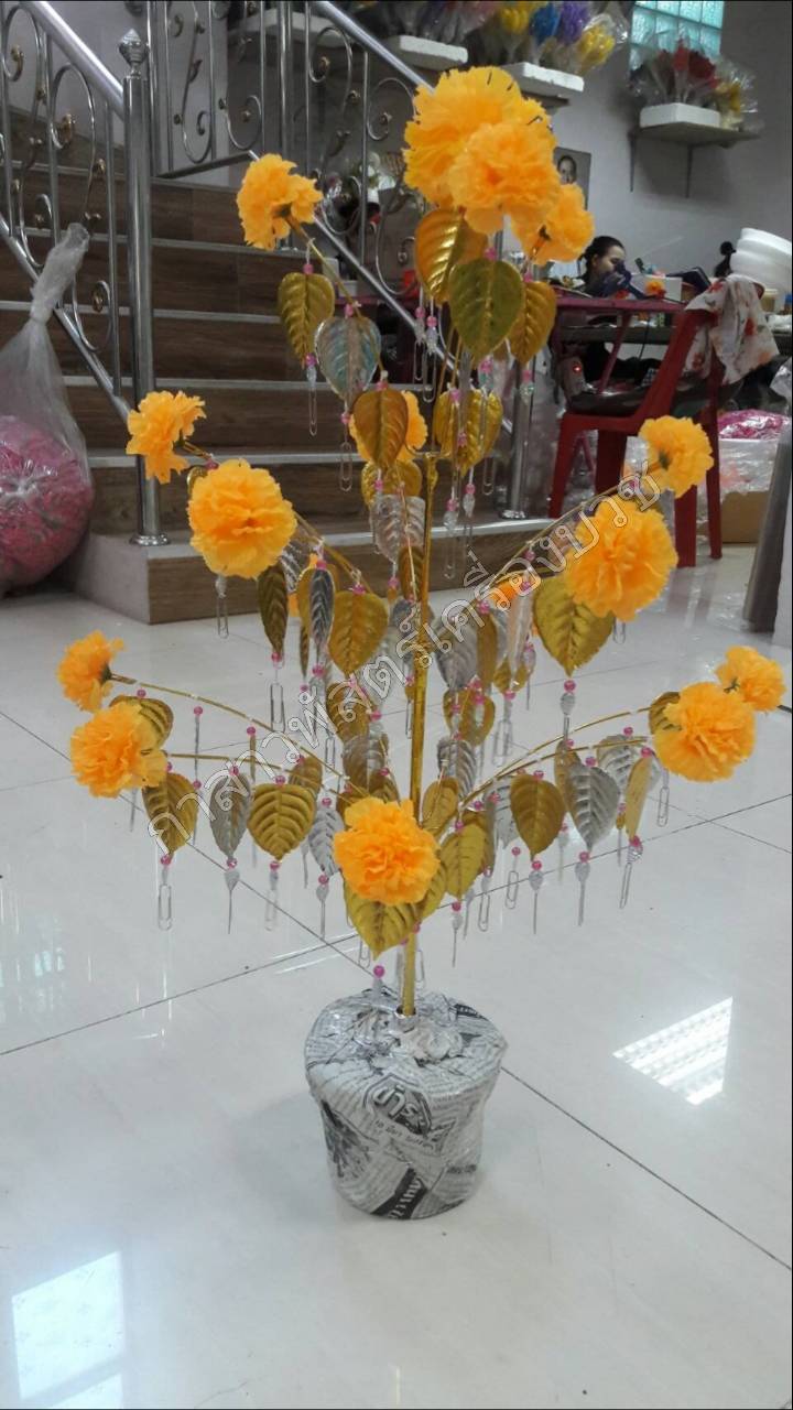 ต้นผ้าป่า/ต้นกฐิน (ใบโพธิ์เงิน-โพธิ์ทอง) ความสูง 80 เซนติเมตร ราคา/ต้น *ใบเยอะเต็มต้นดูสวยงาม