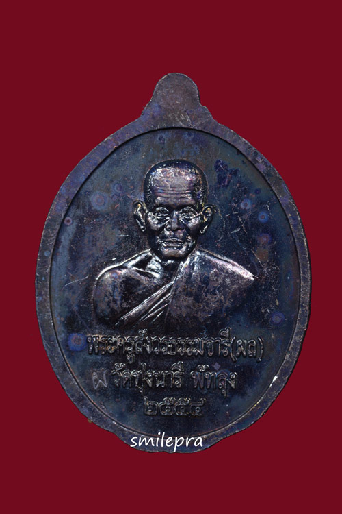 หลวงพ่อทวด หลังหลวงพ่อผล วัดทุ่งนารี จ.พัทลุง พ.ศ.2554