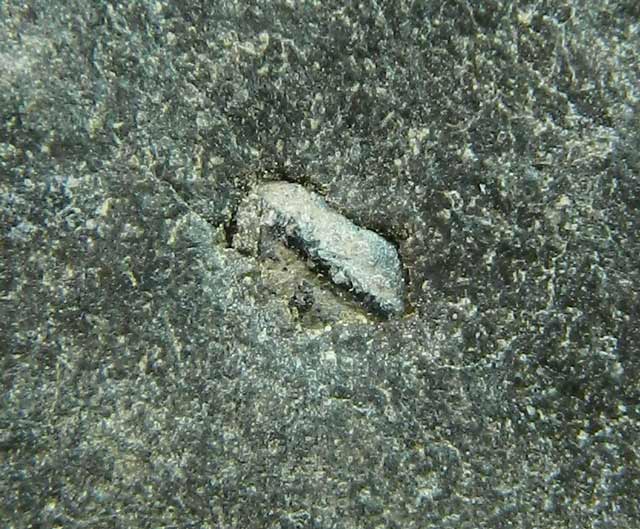 หลวงพ่อทวด รุ่นวิศษ60 พิมพ์กรรมการหลังฝังเม็ดข้าวสารดำ ปี2541 ปลุกเสกโดยพระอาจารย์นอง วัดทรายขาว จ.ปัตตานี