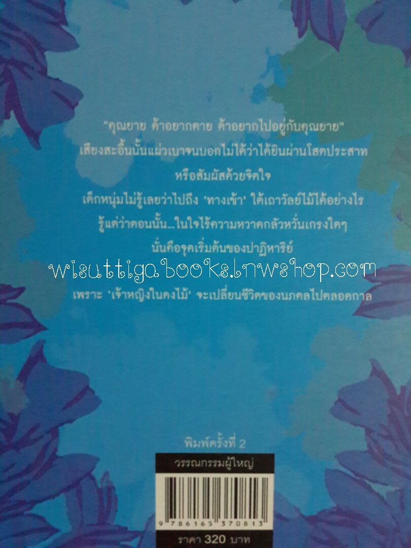 นภดลเคียงดาว โดย แอลลี่