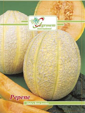 เมล่อน เฮลเบส จัมโบ้ - Hale's Best Jumbo Melon