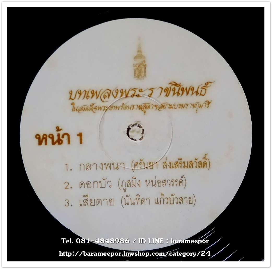 บทเพลงพระราชนิพนธ์ ในสมเด็จพระเทพรัตนราชสุดา ฯ มีศิลปินร่วมขับร้องหลายคน