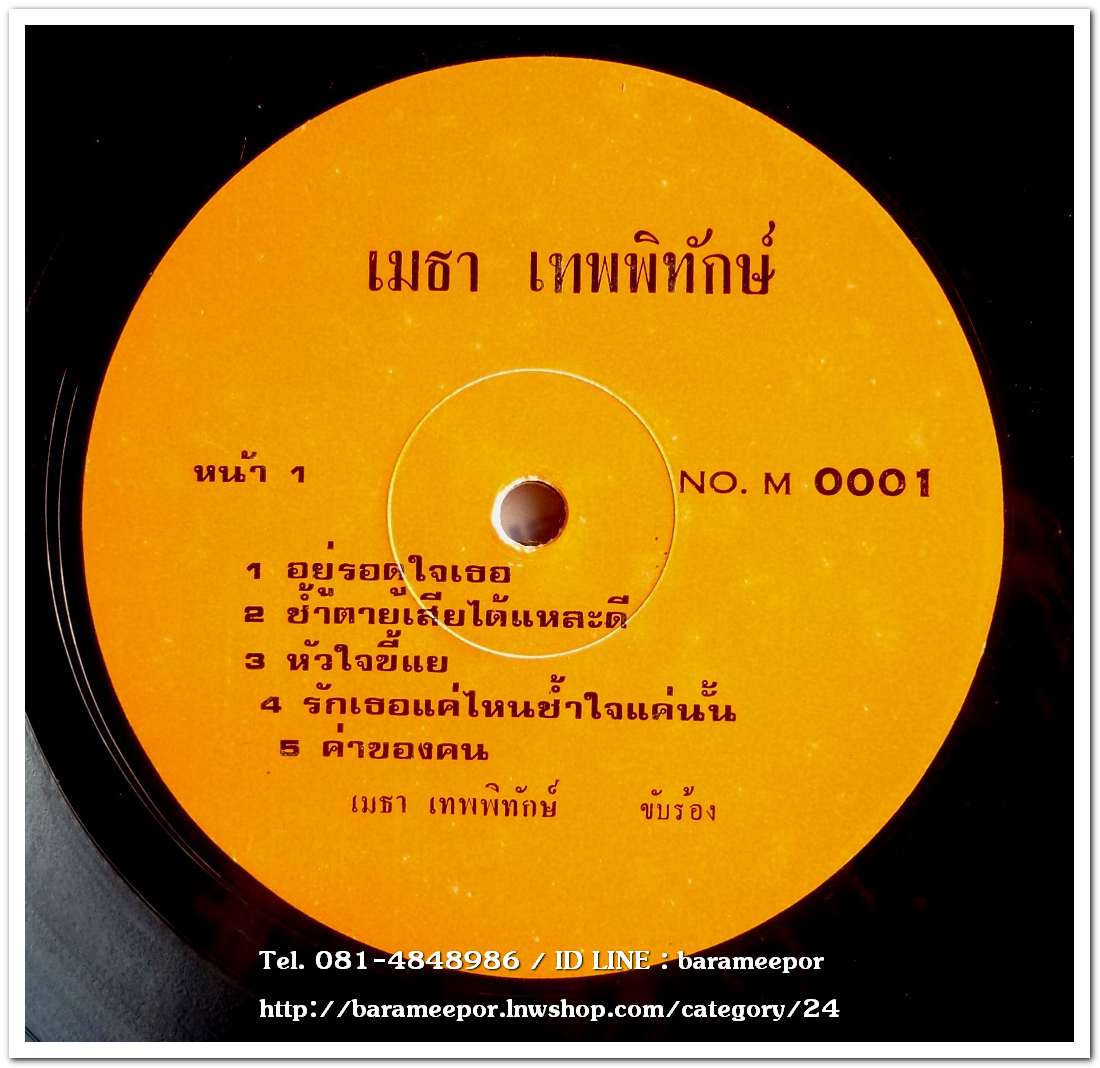 เมธา เทพพิทักษ์ ชุด อยู่รอดูใจเธอ