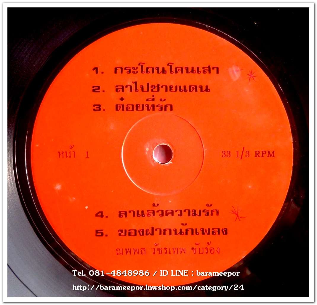 ณพพล วัชรเทพ ชุด ลาแล้วความรัก