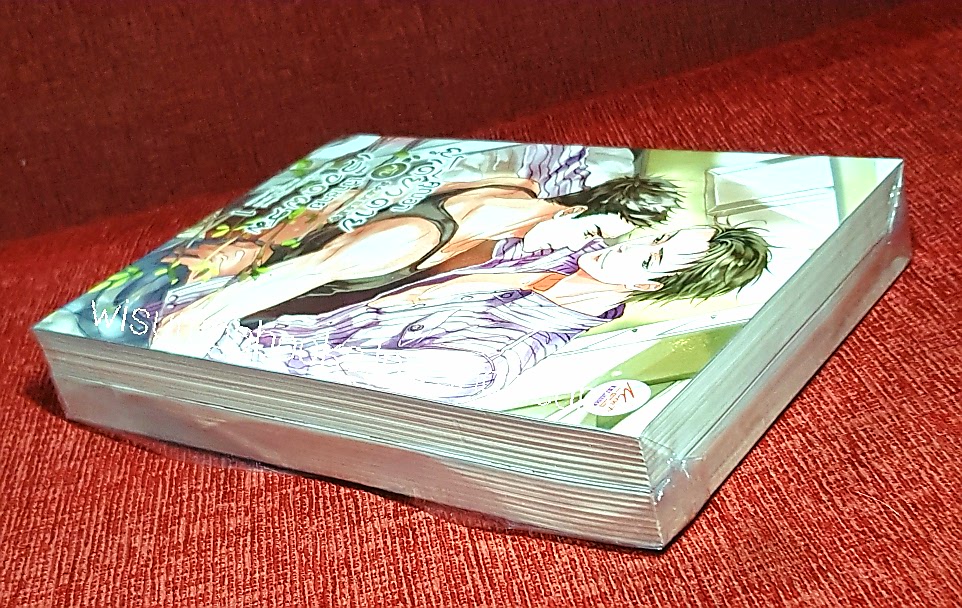 คุณอาผู้เดียวดายกับเจ้าชายเลือดผสม (2เล่มจบ***มือหนึ่ง มีขีดสันล่าง): ผู้เขียน Shui Qian Cheng , ผู้แปล เซ๊ยงเซียง