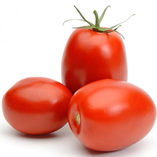 มะเขือเทศริโอ แกรนด์ - Rio Grande Tomato