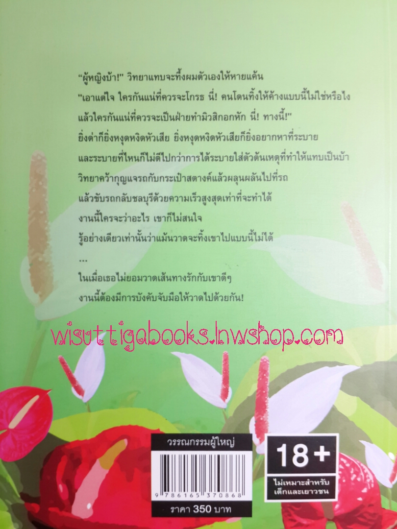 แม้นวาดรัก โดย แอลลี่