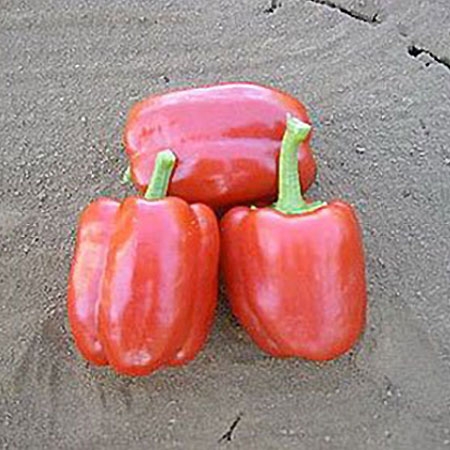 (Whole 1 Oz) พริกหวานสีแดง - Big Red Sweet Pepper