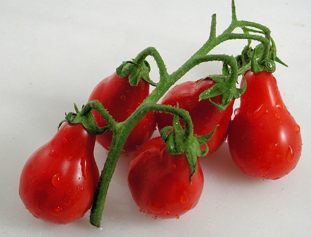 มะเขือเทศลูกแพร สีแดง - Red Pear Tomato