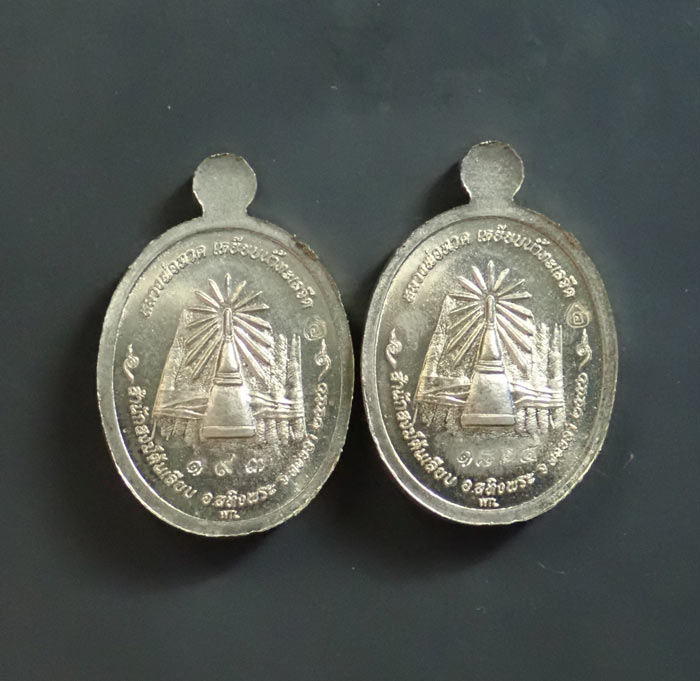 เหรียญเม็ดแตง (ฟักทอง) หลวงพ่อทวด ปาฏิหาริย์ สำนักสงฆ์ต้นเลียบ ปี2556 เนื้ออัลปาก้า (2เหรียญ)