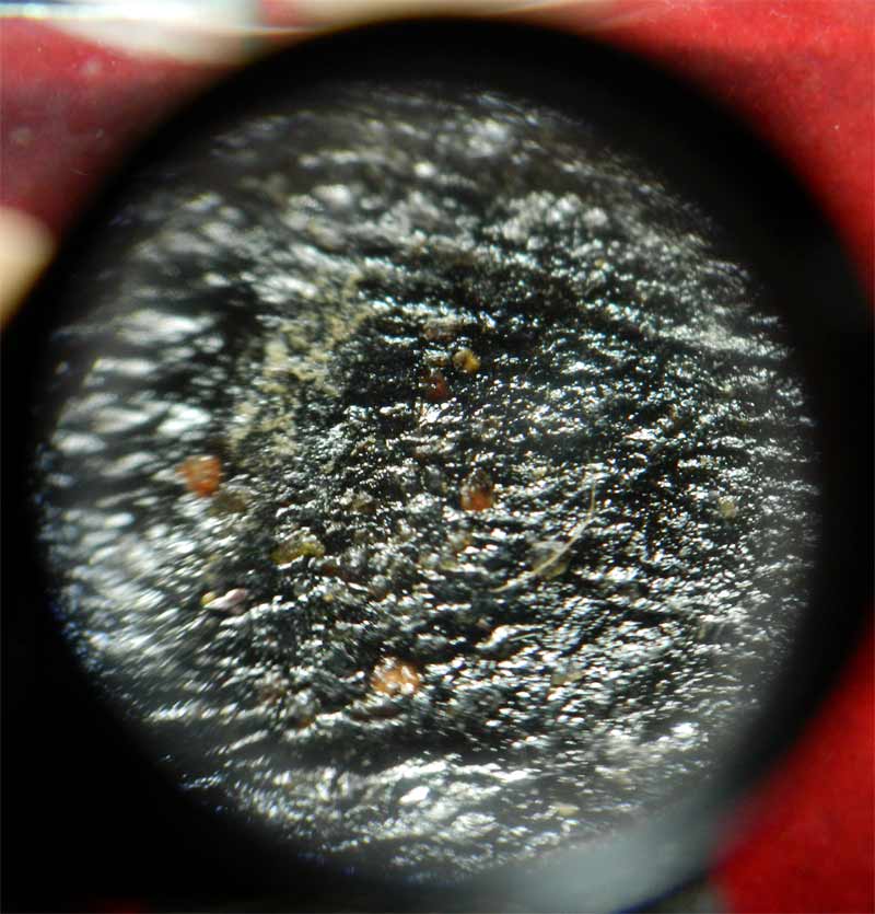 หลวงปู่ทวด รุ่นวิเศษ60 อาจารย์นอง วัดทรายขาว ปัตตานี ปลุกเสก ปี 2541 เนื้อว่านคลุกรักฝังเม็ดข้าวสารดำ พิมพ์ใหญ่ สร้างเพียง 1000 องค์ ขนาดพระสูงโดยประมาณ 2.5 ซม.