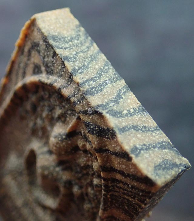 พระสมเด็จปรกโพธิ์หลวงพ่อแพ วัดพิกุลทอง จ.สิงห์บุรี เนื้อผงลาย