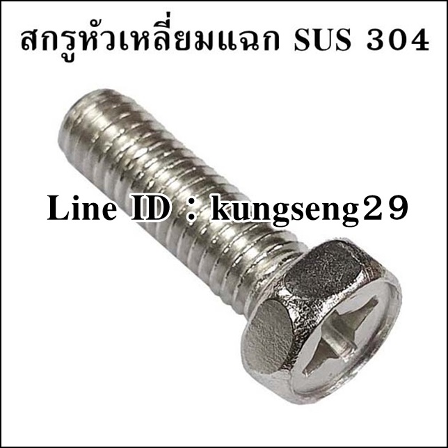 [สแตนเลส] สกรูหัวเหลี่ยมแฉก