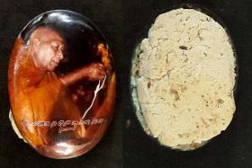 ล๊อคเก็ต ไหว้ข้างพระครูอดุยคุณาธาร (หลวงพ่อหวน) วัดนิคมประทีป(โคกหล่อ) ตรัง ครบรอบ ๘๐ ปี ๒๕๔๗ ด้านหลังมีมวลสาร