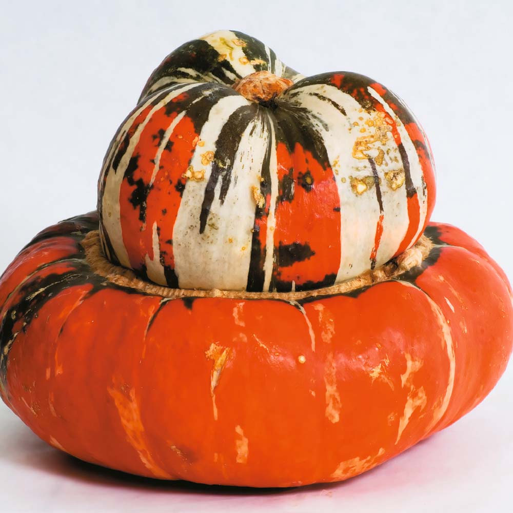 (Whole 1 Oz.) ฟักทองหมวก - Turk's Turban Pumpkin