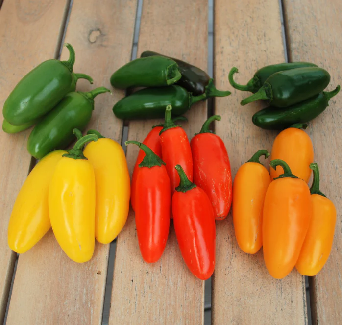 พริกจาราปิโน่ สีเหลือง - Lemon Spice Jalapeno Pepper