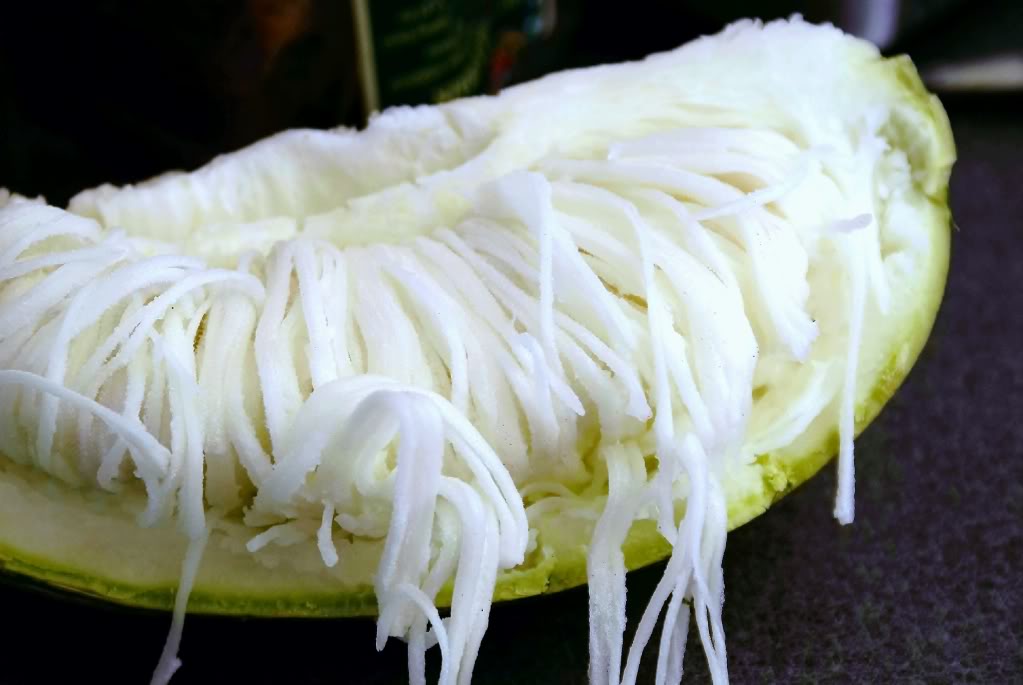 เมล็ดพันธุ์ แตงหูฉลาม - Chilacayote Shark Fin Squash Seed