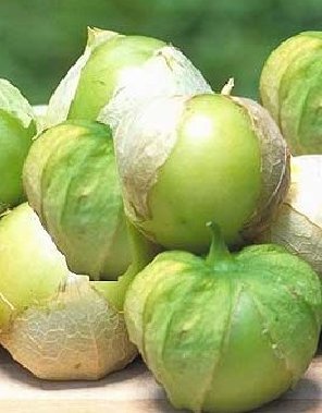 โทมาทิลโล่ สีเขียว - Green Tomatillo
