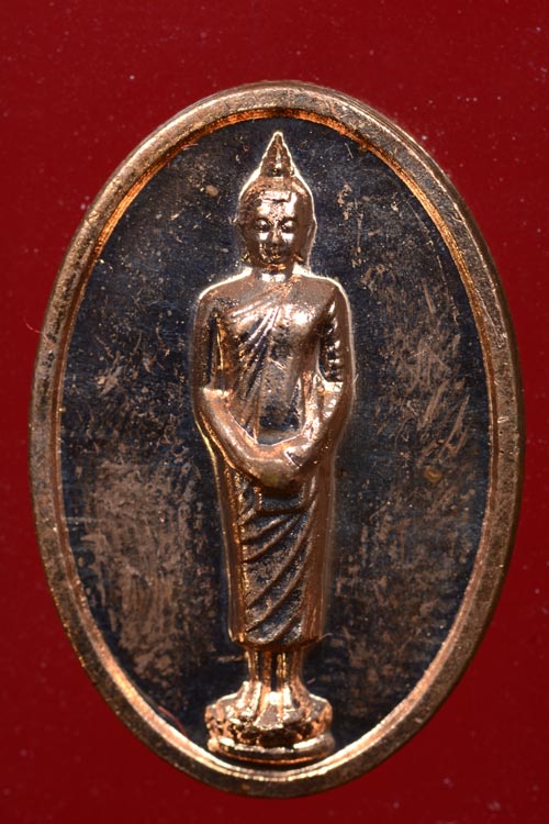 เหรียญพระพุทธ อายุวัฒนมงคล 84ปี ออป พ.ศ.2554