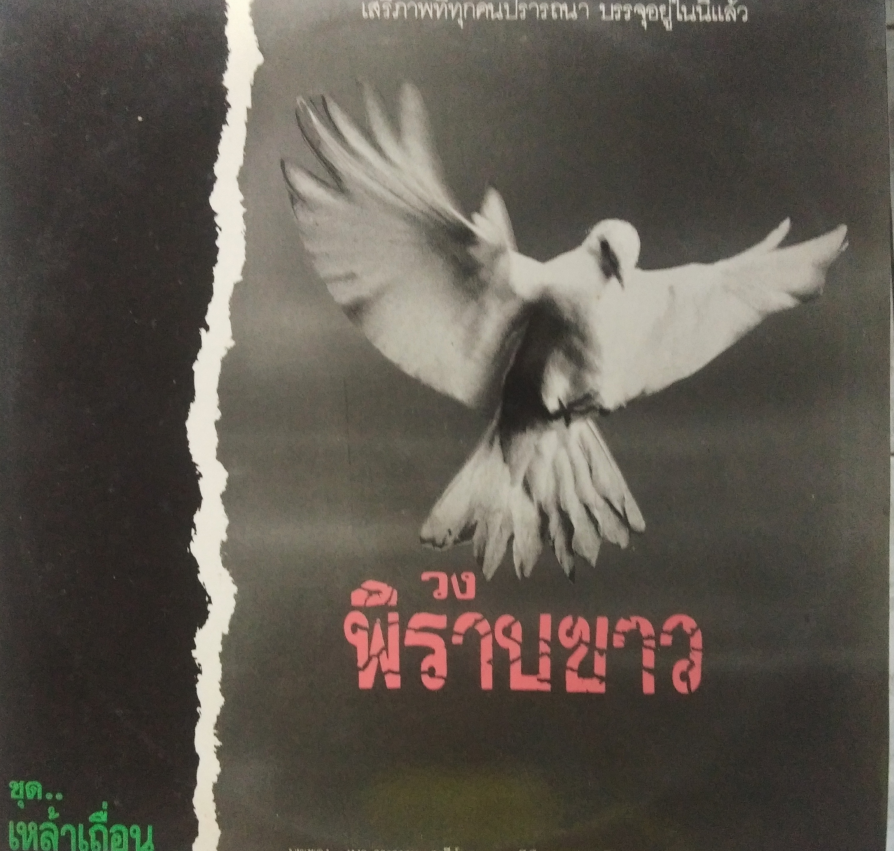 วงพิราบขาว ชุด เหล้าเถื่อน มีปิยะ ตระกูลราษฎร์ /หงา คาราวาน ร่วมแต่งเพลงให้..2