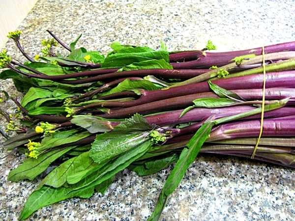 กวางตุ้ง ฮอนไซไต - Hon Tsai Tai Yu Choy Sum Seeds