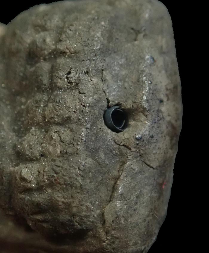 หลวงพ่อทวด อาจารย์ทอง วัดสำเภาเชย รุ่นสุวรรณมงคล ปี 2548 เนื้อว่านพิมพ์ใหญ่