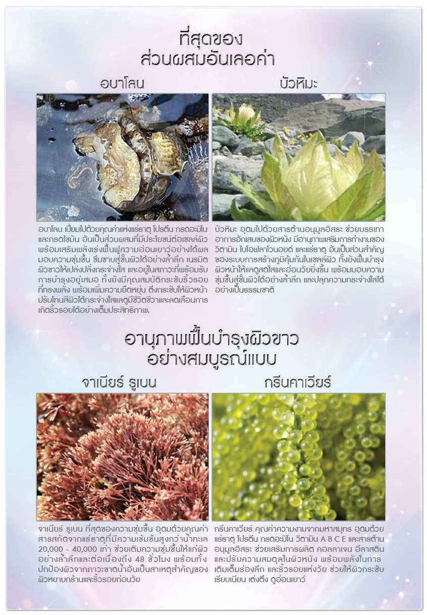HyBeauty Abalone beauty cream อบาโลนบิวตี้ครีม