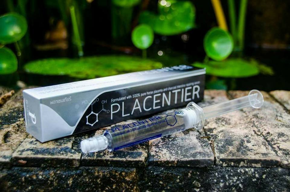 Placentier พลาเซนเทียร์ อัศวินม้าดำ